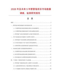 2026年及未来5年野营毯项目市场数据调查、监测研究报告