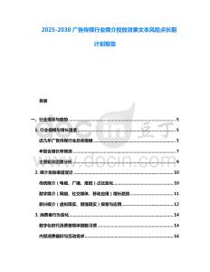 2025-2030廣告傳媒行業媒介投放效果文本風險點長期計劃報告