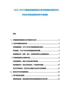 2025-2030中國重型機械製造行業市場現象供應需求分析及未來產品創新技術升級規劃