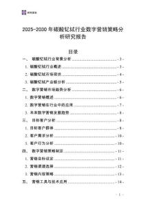 2025-2030年碳酸釔鋱行業數字營銷策略分析研究報告