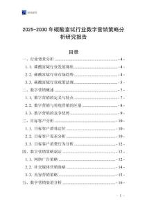 2025-2030年碳酸富鋱行業數字營銷策略分析研究報告