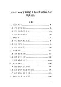 2025-2030年草酸鋱行業數字營銷策略分析研究報告