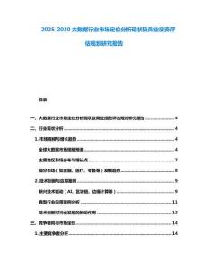2025-2030大數據行業市場定位分析現狀及商業投資評估規劃研究報告