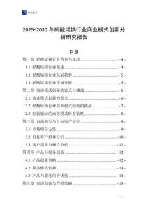 2025-2030年硝酸鋱鏑行業商業模式創新分析研究報告
