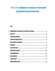 2025-2030德國(guó)新能源汽車充電設(shè)施行業(yè)市場(chǎng)深度調(diào)研及發(fā)展趨勢(shì)和投資前景預(yù)測(cè)研究報(bào)告
