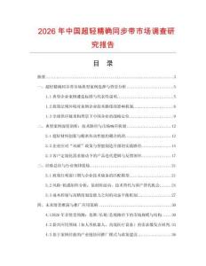 2026年中國超輕精確同步帶市場調查研究報告
