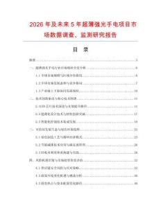 2026年及未來5年超薄強(qiáng)光手電項(xiàng)目市場數(shù)據(jù)調(diào)查、監(jiān)測研究報(bào)告