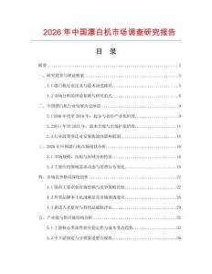 2026年中國漂白機市場調查研究報告