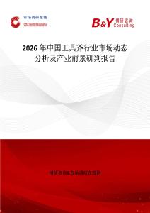 2026年中國工具斧行業(yè)市場動態(tài)分析及產(chǎn)業(yè)前景研判報告