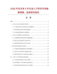 2026年及未來5年五金小刀項目市場數據調查、監測研究報告