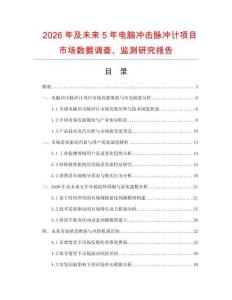 2026年及未來5年電腦沖擊脈沖計項目市場數據調查、監測研究報告