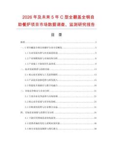 2026年及未來5年C型全翻蓋全鋼自助餐爐項目市場數據調查、監測研究報告