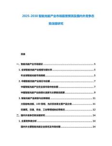 2025-2030智能光能產(chǎn)業(yè)市場前景預(yù)測及國內(nèi)外競爭態(tài)勢深度研究