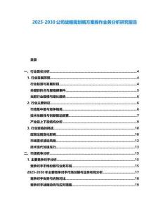 2025-2030公司戰略規劃略方案操作業務分析研究報告