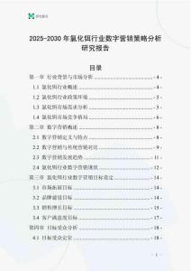 2025-2030年氯化鉺行業(yè)數(shù)字營銷策略分析研究報告