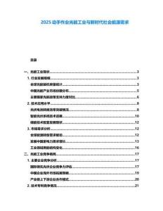 2025動(dòng)手作業(yè)光能工業(yè)與新時(shí)代社會(huì)能源需求
