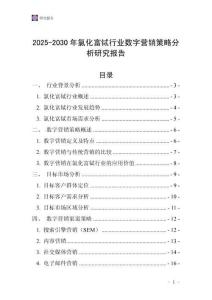 2025-2030年氯化富鋱行業數字營銷策略分析研究報告