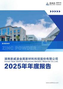 新威凌：2025年年度報告