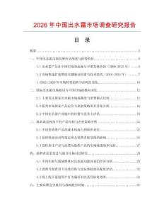 2026年中國出水霜市場調查研究報告