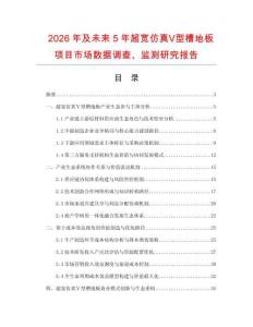 2026年及未來5年超寬仿真Ⅴ型槽地板項目市場數(shù)據調查、監(jiān)測研究報告