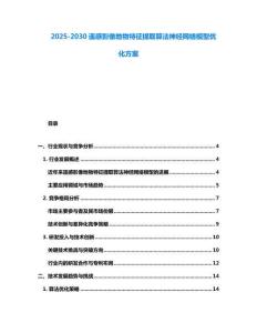 2025-2030遙感影像地物特征提取算法神經(jīng)網(wǎng)絡(luò)模型優(yōu)化方案