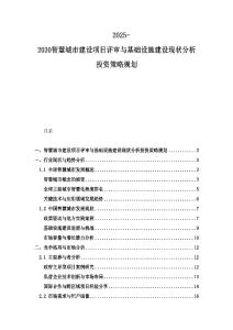 2025-2030智慧城市建設項目評審與基礎設施建設現狀分析投資策略規劃