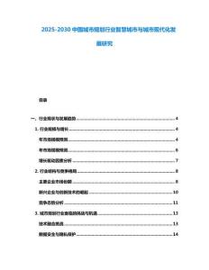 2025-2030中國城市規劃行業智慧城市與城市現代化發展研究