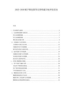 2025-2030賦予情況指導(dǎo)完善構(gòu)建目標(biāo)評估活動(dòng)