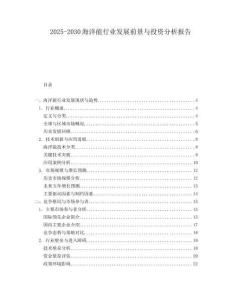 2025-2030海洋能行業(yè)發(fā)展前景與投資分析報(bào)告