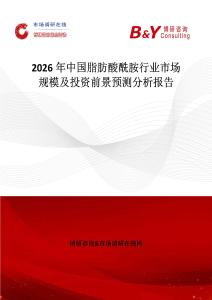 2026年中國(guó)脂肪酸酰胺行業(yè)市場(chǎng)規(guī)模及投資前景預(yù)測(cè)分析報(bào)告