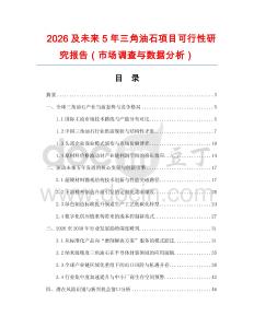 2026及未來5年三角油石項目可行性研究報告（市場調查與數據分析）