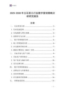 2025-2030年云石茶幾行業(yè)數(shù)字營銷策略分析研究報(bào)告