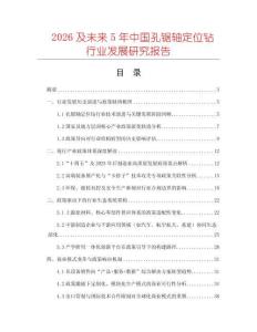 2026及未來5年中國孔鋸軸定位鉆行業發展研究報告