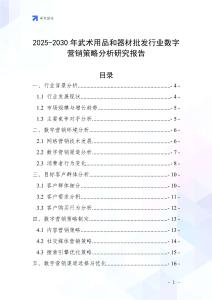 2025-2030年武術(shù)用品和器材批發(fā)行業(yè)數(shù)字營銷策略分析研究報告