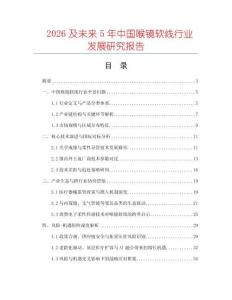 2026及未来5年中国喉镜软线行业发展研究报告
