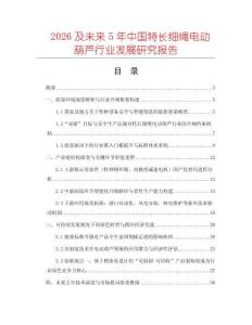 2026及未来5年中国特长细绳电动葫芦行业发展研究报告