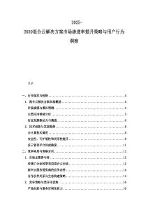 2025-2030混合云解决方案市场渗透率提升策略与用户行为洞察