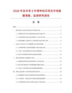 2026年及未來5年塔鐘機(jī)芯項目市場數(shù)據(jù)調(diào)查、監(jiān)測研究報告