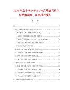 2026年及未來(lái)5年EL冷光眼鏡項(xiàng)目市場(chǎng)數(shù)據(jù)調(diào)查、監(jiān)測(cè)研究報(bào)告