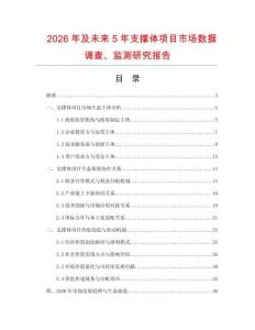 2026年及未來5年支撐體項目市場數(shù)據(jù)調(diào)查、監(jiān)測研究報告