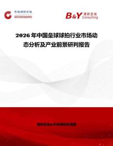 2026年中國(guó)壘球球拍行業(yè)市場(chǎng)動(dòng)態(tài)分析及產(chǎn)業(yè)前景研判報(bào)告
