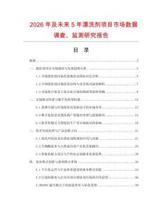 2026年及未來5年漂洗劑項(xiàng)目市場(chǎng)數(shù)據(jù)調(diào)查、監(jiān)測(cè)研究報(bào)告