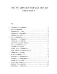 2025-2030古刹寺庙旅游开发市场竞争分析与发展趋势深度探讨报告