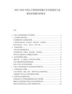 2025-2030中國云計算基礎(chǔ)設(shè)施行業(yè)市場現(xiàn)狀與發(fā)展前景預(yù)測分析報告