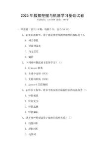 2025年数据挖掘与机器学习基础试卷