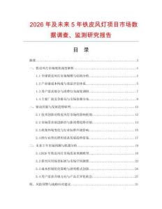 2026年及未來5年鐵皮風燈項目市場數據調查、監測研究報告