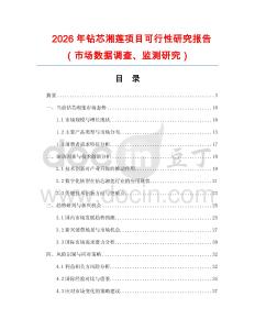 2026年鉆芯湘蓮項目可行性研究報告（市場數據調查、監測研究）