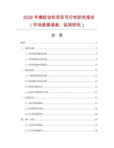 2026年橡膠動輪項目可行性研究報告（市場數(shù)據(jù)調(diào)查、監(jiān)測研究）