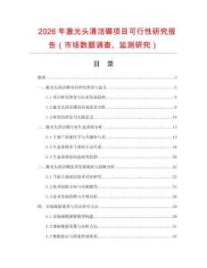 2026年激光头清洁碟项目可行性研究报告（市场数据调查、监测研究）