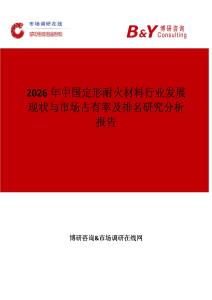 2026年中國定形耐火材料行業(yè)發(fā)展現(xiàn)狀與市場占有率及排名研究分析報告